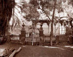 Sukkah at the Etz HaÏm (AKA HANAN)